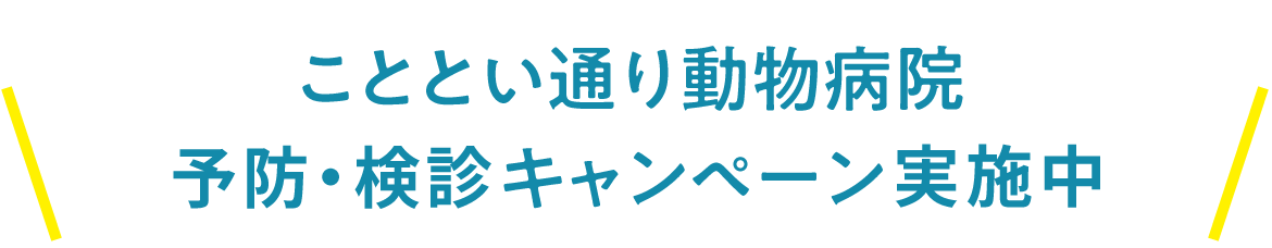 24時間365日対応の動物病院